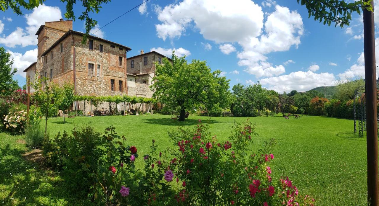Agriturismo Abbazia Sette Frati A Casa Di Sara Pietrafitta  ภายนอก รูปภาพ