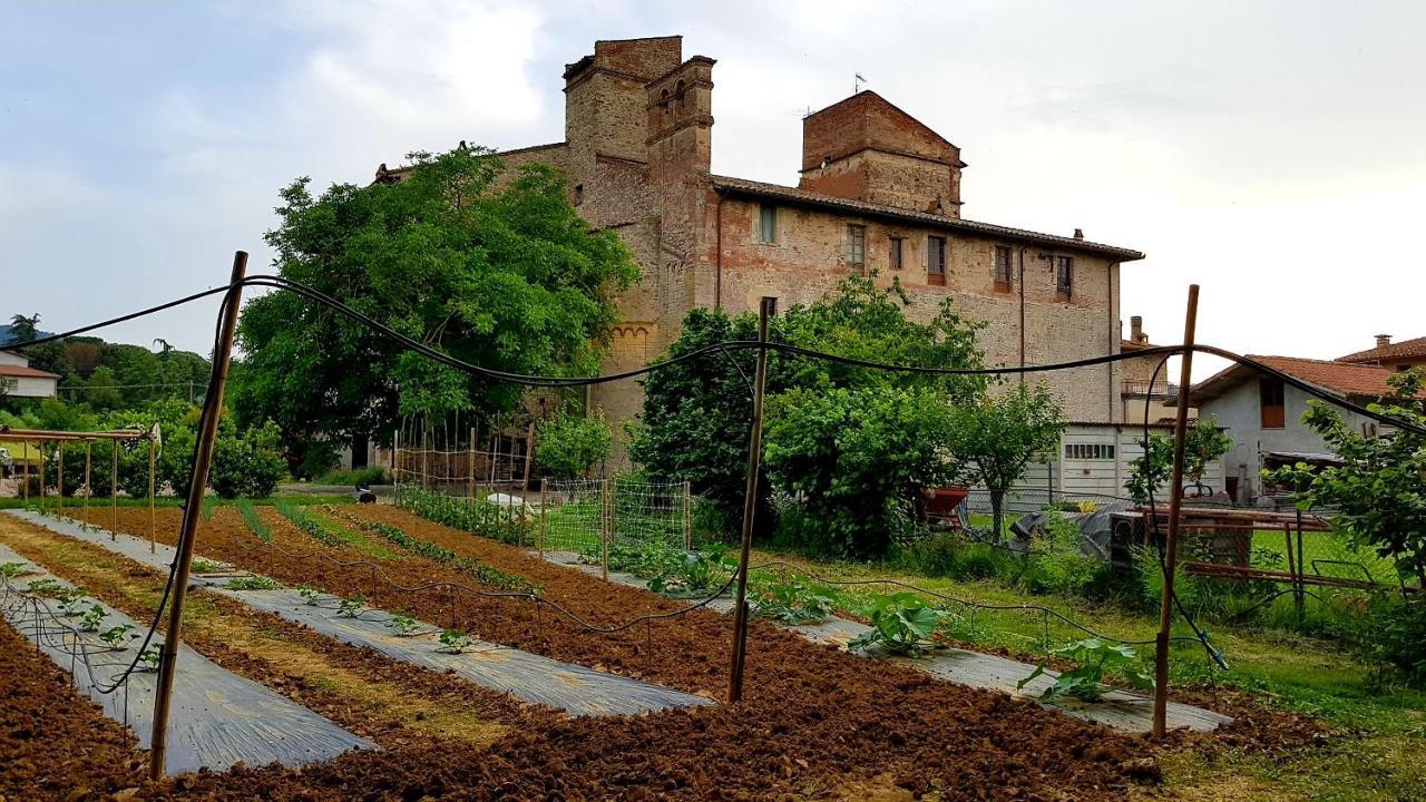 Agriturismo Abbazia Sette Frati A Casa Di Sara Pietrafitta  ภายนอก รูปภาพ