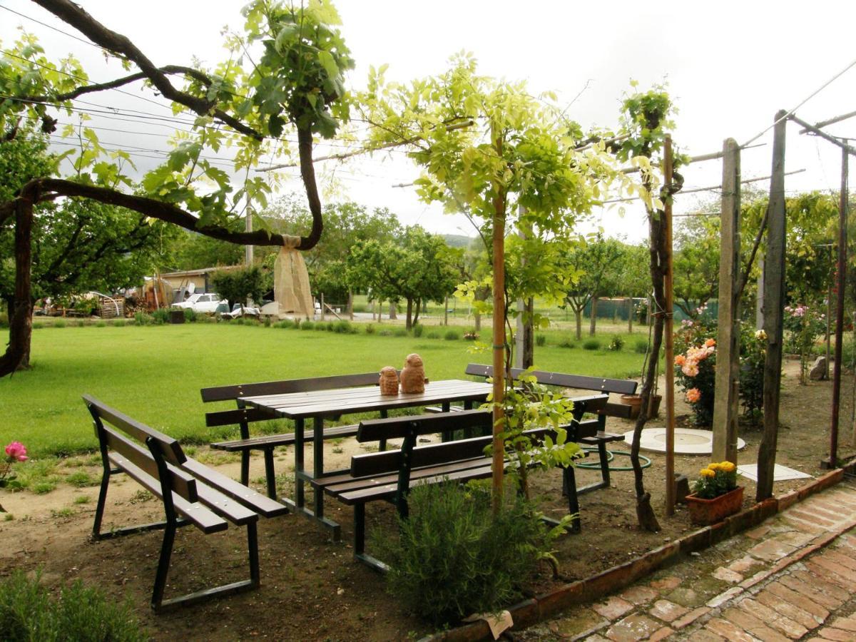 Agriturismo Abbazia Sette Frati A Casa Di Sara Pietrafitta  ภายนอก รูปภาพ