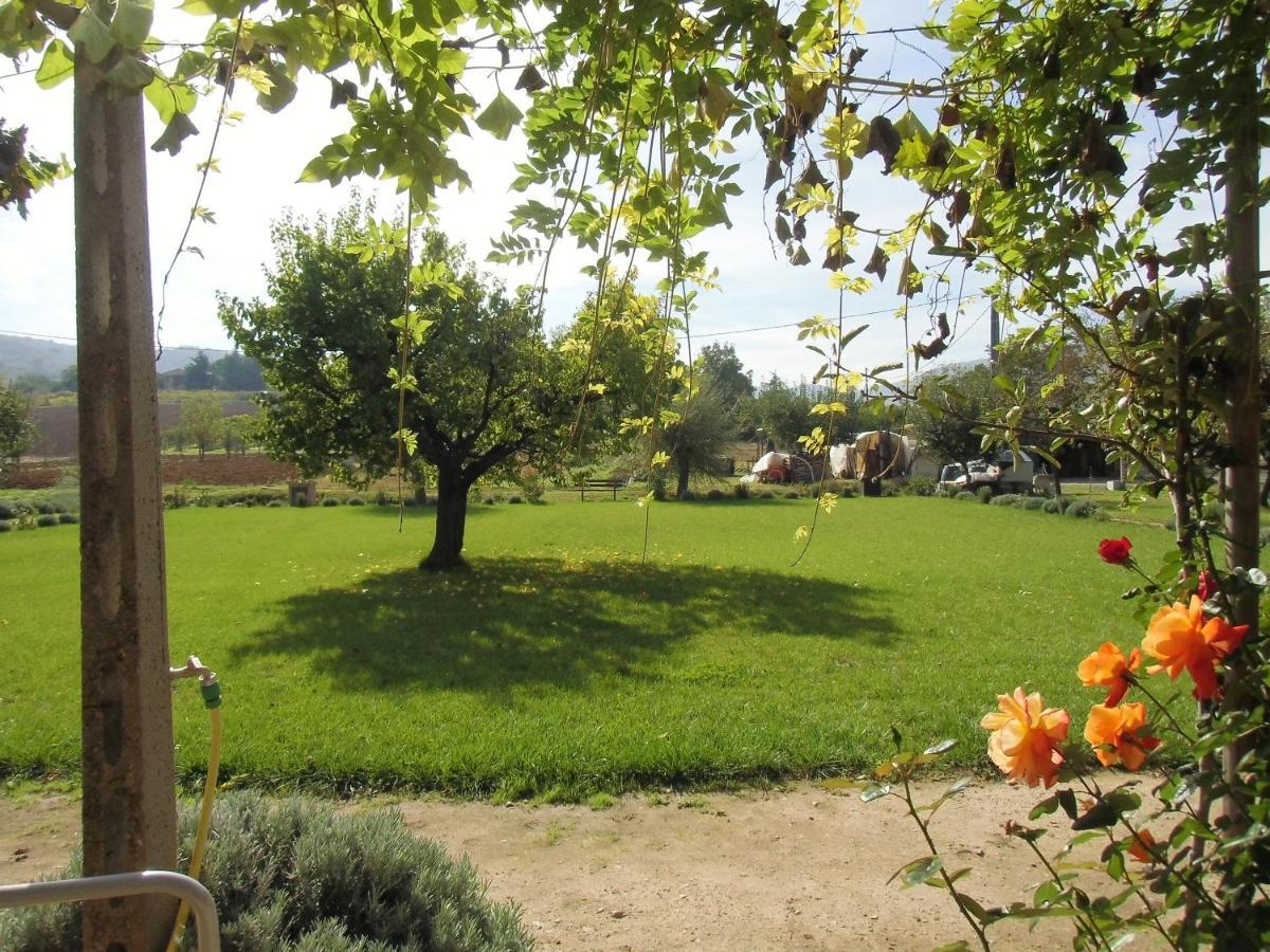 Agriturismo Abbazia Sette Frati A Casa Di Sara Pietrafitta  ภายนอก รูปภาพ